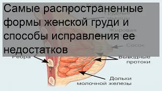 Самые распространенные формы женской груди и способы исправления ее недостатков