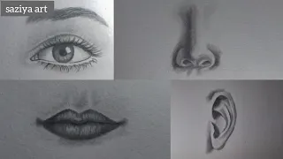 How to draw Face Parts [ eye | nose | lips | ear ] || eye drawing| nose drawing || #drawing #youtube