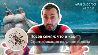 Посев семян: что и как. Стратификация на улице и дома