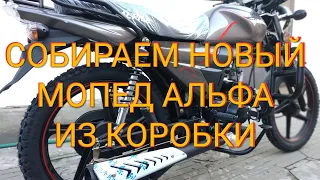 Новый мопед Альфа 2019 110см³ | Alpha ZS-50C | Собираем мопед из коробки