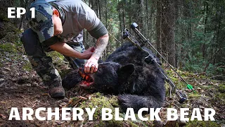 ALBERTA BLACK BEAR BOW HUNT - BorealHuntsman