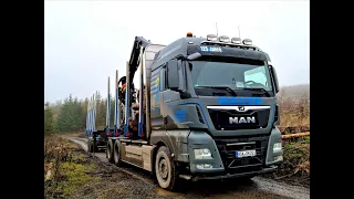 🌲 MAN TGX 33.510 6x4 • Timber truck • Loading wood in forest • fast loading • Mause Holztransporte 🌲
