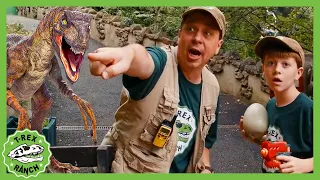 T-Rex Dinosaur & Floor Is Lava!  | T-Rex Ranch Dinosaur Videos