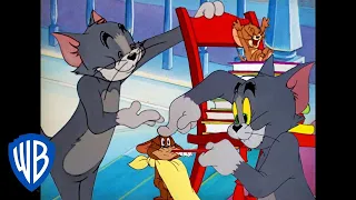 Tom & Jerry em Português | Tom e Jerry são amigos? | WB Kids