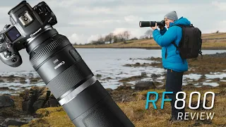 Canon RF 800 review - Pro results for wildlife!