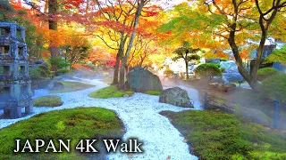 【4K】Japan Walking Tour - Autumn Leaves in the Beautiful Japanese Garden