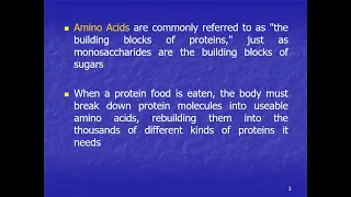 Proteins1