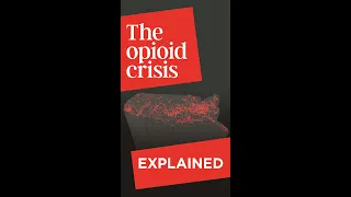 The Opioid Crisis Explained... Social Factors #Shorts