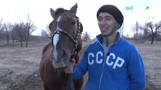 «СӘЙГҮЛІК СЫНЫ». Бүркіт