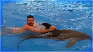 Delphine sind süß