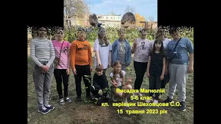 КЗ "Бірківський ліцей" "Бережемо природу, дбаємо про екологію."