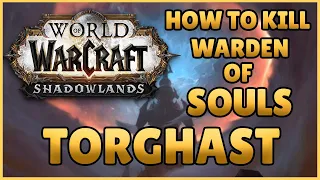 How To Kill Warden of Souls! Torghast - World of Warcraft Shadowlands!