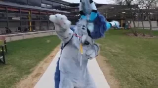 Fursuiting at my College...?