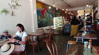 Amazing Coffee Shop in Tauranga, New Zealand