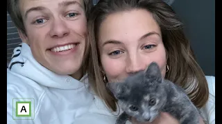 This cat is our new family member! | Vlog 48³