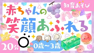 【赤ちゃんが泣きやむ】赤ちゃんの笑顔あふれる🍇🌲ö│0歳/1歳/2歳/3歳の知育│泣き止む・笑う【乳児・幼児向け知育番組】