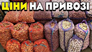 Таких ЦІН ви ще не бачили 😱 Що купують одесити❓ Ціни на цибулю тиканку 🧅 ОДЕСА ПРИВОЗ ОПТ ⚓