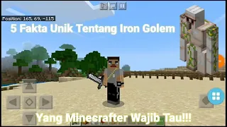 5 Fakta Unik Iron Golem Di Minecraft PE