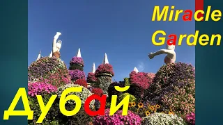 Miracle Garden Dubai (Сад чудес) - великолепнейшее место, без которого нельзя прожить!!!