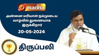 🔴20 May  2024 Holy Mass in Tamil 06:00 PM (Evening Mass) | Madha TV