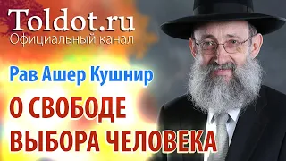 Рав Ашер Кушнир. О свободе выбора человека. ДЕРЕХ АШЕМ 11