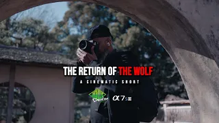 The Return Of The Wolf | Sony A7Siii + Sony 24mm F1.4 GM | Cinematic Video