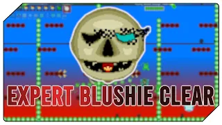 Modded Terraria - Defeating Secret Blushiemagic Boss on Expert (Pre-Nerf)