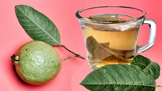 🍃 Esto Es Lo Que Te Pasa Si Tomas Te De HOJAS De GUAYABA🍃  - 3 Beneficios - Lunacreciente