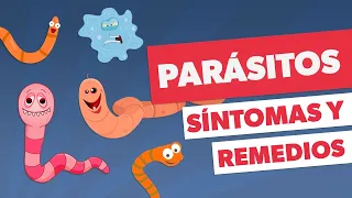 Todo sobre PARÁSITOS INTESTINALES| Síntomas, medicamentos y prevención