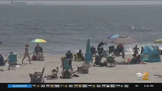 Shark Sighting At Lido Beach Forces Swimmers Out Of Water