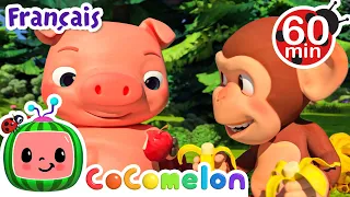 Des pommes et des bananes | | CoComelon en Français | Chansons pour bébés