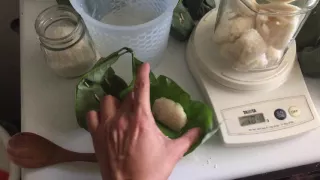 Crazy Asian Ferments #3 - ‘Shio-Koji’ Malaysia Version by Connie Chew