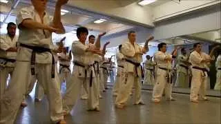 Kazuo Miyoshi  Kyokushin Seminar   New York   June 7th 2014