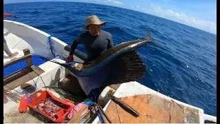 Mira como capturan al pez vela estos pescadores, pesca doradera   Parte 9