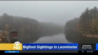 Bigfoot in Leominster State Forest? One man has been on the hunt for decades
