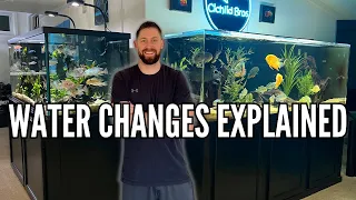 How (and Why) I Do Water Changes on All of My Aquariums