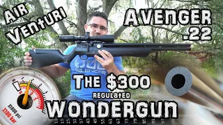 Avenger .22 Air Rifle + Accuracy TEST - 50 & 100 Yards + Tuned + FULL REVIEW - Air Venturi PCP