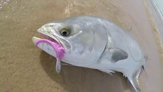 Fishing the beach with bucktail jigs for Garricks.