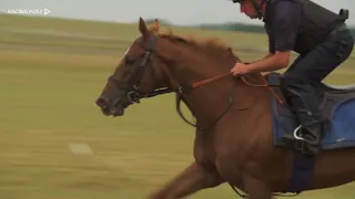 Lexus Melbourne Cup contender Red Verdon