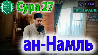 Сура 27 ан-Намль (Муравьи) - слушайте красивый Коран на арабском со смысловым переводом на русский