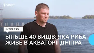 Що впливає на популяції риб в Кременчуцькому водосховищі?