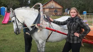 Как запрячь лошадь в русскую сбрую?