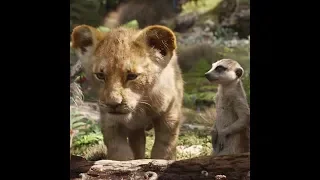 The Lion King | Timon & Pumbaa | In Cinemas July 19