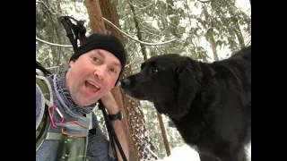 Strange Dog Joins Couple On Hike And Then They See What’s Written On His Collar