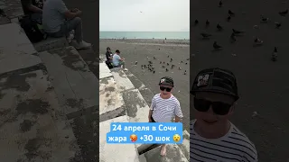 24 апреля в Сочи / жара 🥵 +30 / пляж 🏝️ сочифорния