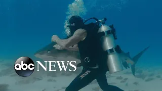 Testing a 'shark suit' that lets divers get up close without case l Nightline