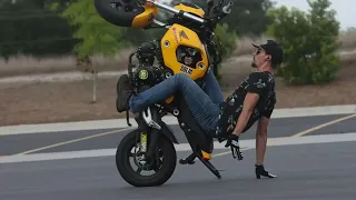 IS SOLID STUNTS THE BEST FOR 2022 GROM???