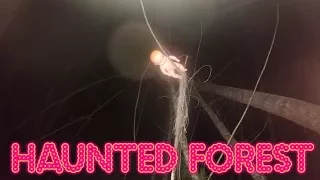 SPENDING THE NIGHT IN A REAL HAUNTED FOREST