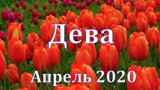 #ДЕВА. Таро прогноз на апрель 2020 года от Татьяны Байер