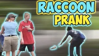 Raccoon Prank